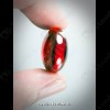 Red Round Naga-eye Thai Holy Real Amulet Gemstone 100% Authentic Size-M