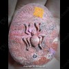 THAI AMULET PID-TA CLOSED EYE 2TAKROOT COLOR POWDER MIXED LP KOON 2556