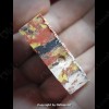 THAI AMULET KHUNPAEN MULTI COLOR POWDER MIXED LP KOON BAN-RAI 2556