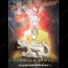 THAI AMULET TIGER BRONZE MIXED LOVE SEX ATTRACTION LP AJAN O 2556