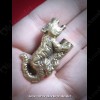 THAI AMULET TIGER BRONZE MIXED LOVE SEX ATTRACTION LP AJAN O 2556