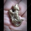 THAI AMULET TIGER BRONZE MIXED LOVE SEX ATTRACTION LP AJAN O 2556