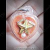 THAI AMULET WAX HAU JAI HEART GOLD STAR WATERPROOF LP AJAN O 2556