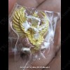 THAI AMULET GARUDA KRUT KING OF BIRD 3 COLOR PLATED BIG SIZE LP KEY 2556