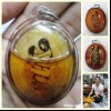 AJARN PERM PRAI DAM MAHA SANAEH THAI AMULET ***UPDATE20140609***