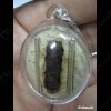 Thai Amulet Love sex attraction Lady photo + Oil yin kurak Aj Perm Praidam